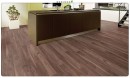 linea plus orzech wloski