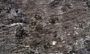 Korrado-forest black