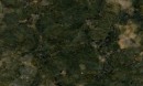 Korrado-verde butterfly